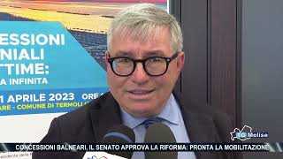 Concessioni balneari il senato approva la riforma pronta la mobilitazione [upl. by Rech]