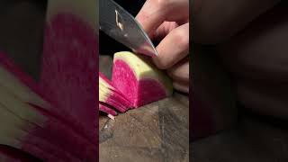 Cutting reddish with a long tail fyp knife knifesharpening ray knifesharpener rui knives [upl. by Giddings]