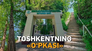 Toshkentning bohavo maskani  Botanika bogi [upl. by Waldron]