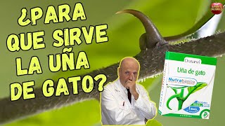 🚨 ¿PARA QUE SIRVE LA UÑA DE GATO 🚨 ¿QUE PROPIEDADES TIENE Y CÓMO TOMAR [upl. by Ottilie]