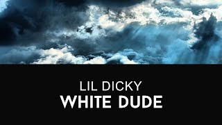 Lil Dicky  White Dude [upl. by Audie]