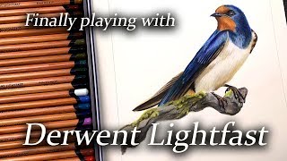 Drawing with Derwent Lightfast pencils [upl. by Macmullin]