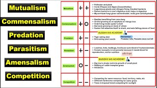 Symbiotic Relationship  Mutualism commensalism predation parasitism amensalism competition [upl. by Aratahs]