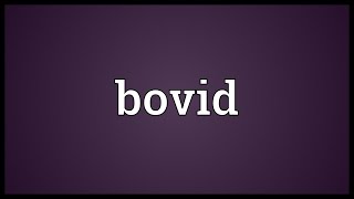 Bovid Meaning [upl. by Angy]