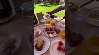 Exquisito desayuno en Tancat de Codorniu Delta de l’Ebre Cataluña España📍 viajes españa [upl. by Erdnoed848]