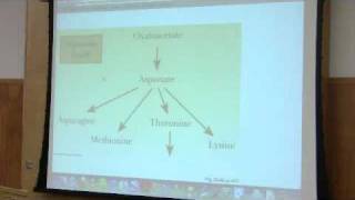 Nitrogen Metabolism by Kevin Ahern Part 1 of 7 [upl. by Gibbie]