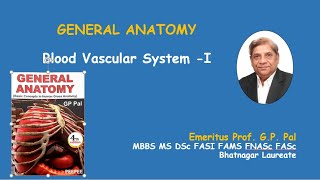 21 Blood Vascular System PartI General Anatomy [upl. by Allx]