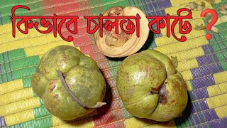 Lovely TA is live  কিভাবে চালতা কাটে  কিভাবে চালতার আচার বানায়  চালতা [upl. by Ellehcir957]