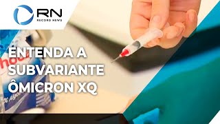 Entenda o que é a subvariante Ômicron XQ [upl. by Clauddetta]