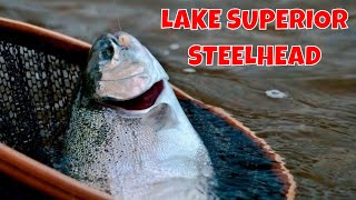 Lake Superior Steelhead [upl. by Znerol]