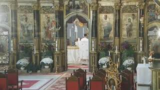 Episcopia GrecoCatolică de Oradea Live Stream [upl. by Arahsit]