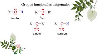 Generalidades grupos funcionales oxigenados [upl. by Eelrebmyk]