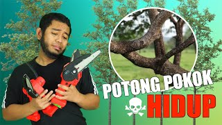 Mini Chainsaw Potong Pokok Hidup [upl. by Aileon]