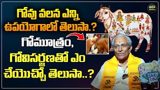 గోవు వలన ఎన్ని ఉపయోగాలో తెలుసా  Importance of Gomatha  Gopala Krishna ahabhakthi [upl. by Asecnarf]