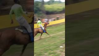 Jamaican horse race be like jamaicajamaica [upl. by Nanfa]