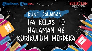 Kunci Jawaban IPA Kelas 10 Halaman 46 Kurikulum Merdeka Bab 2 yang Berjudul Virus dan Peranannya [upl. by Nobel]