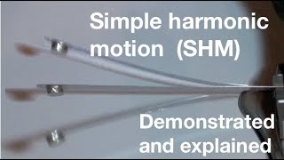 Simple harmonic motion SHM for beginners from fizzicsorg [upl. by Woolson]