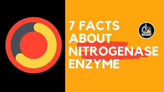 Nitrogenase Enzyme  Nitrogen fixation  Nitrogen Metabolism [upl. by Esened]