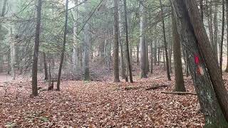 Day Hiking And Campsite Recon In The Kennerdell Tract [upl. by Bowler]