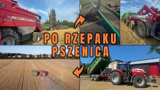 VLOG Kończymy kosić rzepak i wjeżdżamy w pszenicę Czerwone rakiety w akcji [upl. by Sixel]