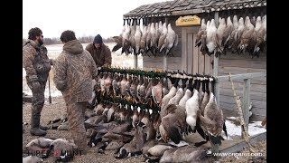 Hired to Hunt Season 3 7 Cant Always Get What You Want Waterfowl Hunting Limit hunts Alberta [upl. by Eisej731]