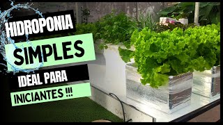 Hidroponia SIMPLES FÁCIL e de BAIXO CUSTO 😃🌱 [upl. by Kraus]