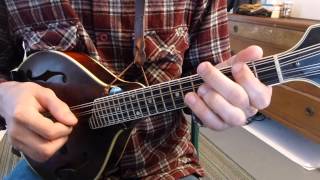 Learn To Play In Every Key Every Major Scale Part One  Mandolin Lesson [upl. by Hayikaz839]