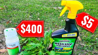 I Tested a 5 vs 400 Weed Control Product [upl. by Notnek]