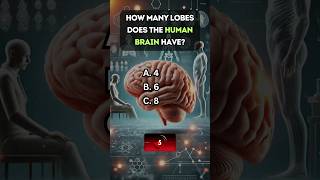 🧠 Can You Ace This Anatomy Quiz Test Your Knowledge Now [upl. by Uwkuhceki]