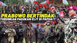 BIKIN OPM MAKIN KETAR KETIR Begini Strategi Jenius Prabowo Dalam Keterlibatan Atasi KKB [upl. by Alis372]