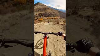 Skier Vs Mountain Biker [upl. by Weisbart]