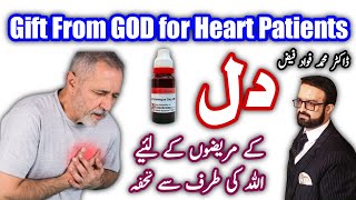 Crataegus Q Homeopathic Medicine dil ki dharkan taiz hone ka ilaj Heart Attack Heart Tonic  DMFF [upl. by Asyar884]