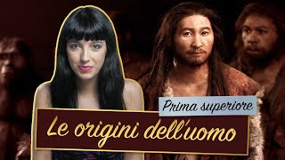 EVOLUZIONE DELLUOMO  DALLHOMO HABILIS ALLHOMO SAPIENS  PREISTORIA [upl. by Wattenberg]