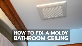 How to Fix a Moldy Bathroom Ceiling [upl. by Sinnard]