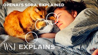 OpenAI’s Sora How to Spot AIGenerated Videos  WSJ [upl. by Anilegna]