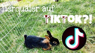 Tierquäler auf TikTok 2 [upl. by Anailuig]