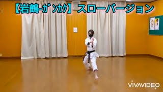 ゆっくり分かりやすい形【岩鶴ｶﾞﾝｶｸ】松濤館流空手 shotokankarate gankaku [upl. by Leunad]