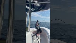 Down and tight garminmarine fishing garmin grundens alutecnos shimano bluefintuna [upl. by Hars746]