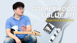 떠오르는 텔레 맛집 Gopher Wood 일렉기타 UBLUE511 투데이스기어 TODAYSGEAR 고퍼우드 악기리뷰 기타리뷰 텔레캐스터 [upl. by Aysab829]