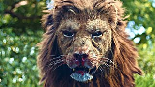 PREY UNCAGED 2016 Film Explained Hindi  Urdu  Slasher Lion Movie Summarized [upl. by Ariamat]