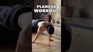 PLANCHE WORKOUT Day 2530 [upl. by Lotz110]