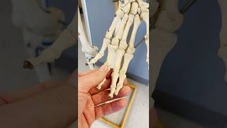 Dislocated Finger amp Shoulder [upl. by Gnoc]