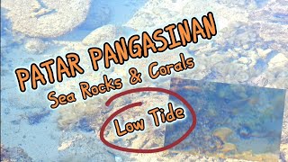 PATAR BEACH PANGASINAN I WITH SEA ROCKS amp CORALS IN LOW TIDE MORNING 😱 2024 [upl. by Anihpesoj898]