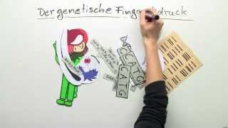 Biologie Der genetische Fingerabdruck  Biologie  Genetik [upl. by Sophey593]