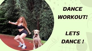 dance workout [upl. by Doowyah]