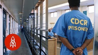 5 Incredible Prison Rehabilitation Programs [upl. by Drarig657]