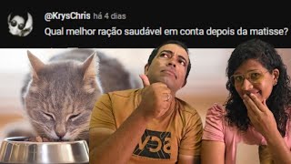 Melhor RAÇÃO para GATOS BOA e BARATA [upl. by Nillok]