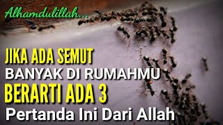 MASYAALLAH  Jika Banyak Semut Di Rumahmu Ada 3 Pertanda Dari Allah Jangan Sampai Di Bunuh [upl. by Fatimah945]