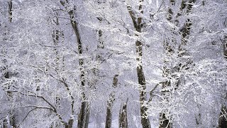 07122023  Nabożeństwo czwartkowe  Chrześcijańska Wspólnota Zielonoświątkowa w Kłodzku [upl. by Natanhoj72]