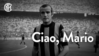 CIAO MARIO  Farewell Mario Corso well miss everything about you 🙏🏻🖤💙 SUB ENG [upl. by Lombard]